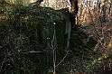 Rostoczek 11.2008 421